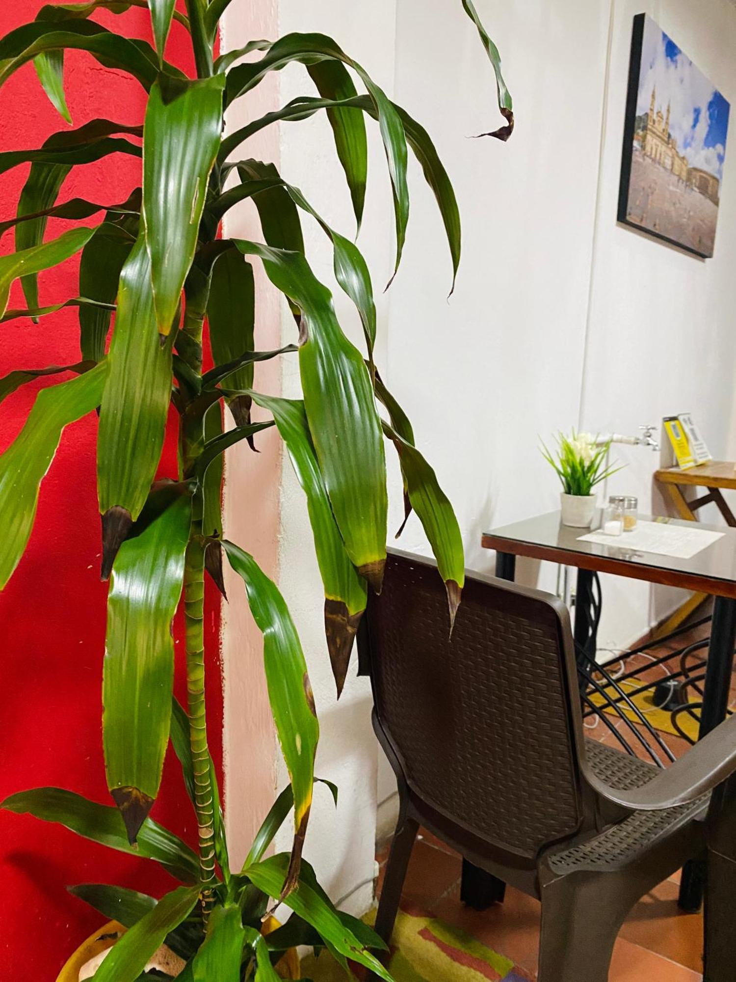 Bogota Kings 101 Hotel Екстериор снимка